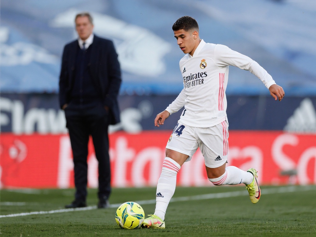 和返利机制 和返利机制