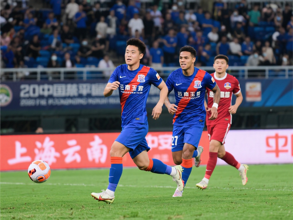 内线球员 内线球员