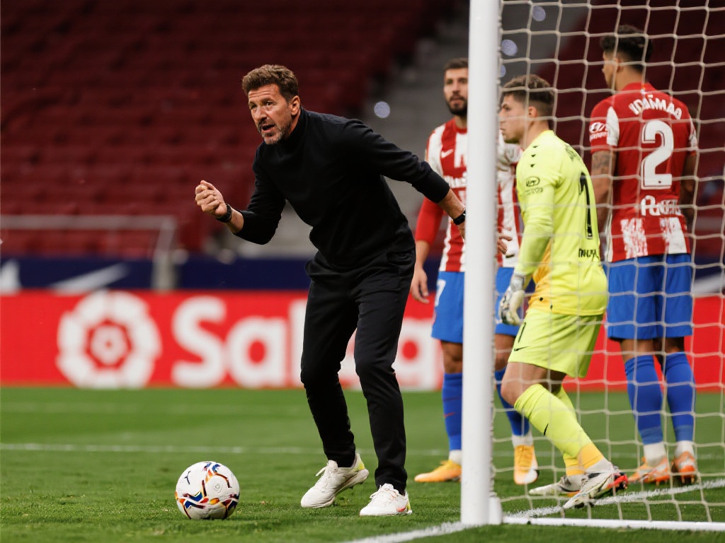 也将被持续 也将被持续