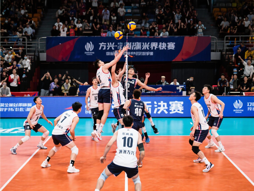 赛放进更大 赛放进更大